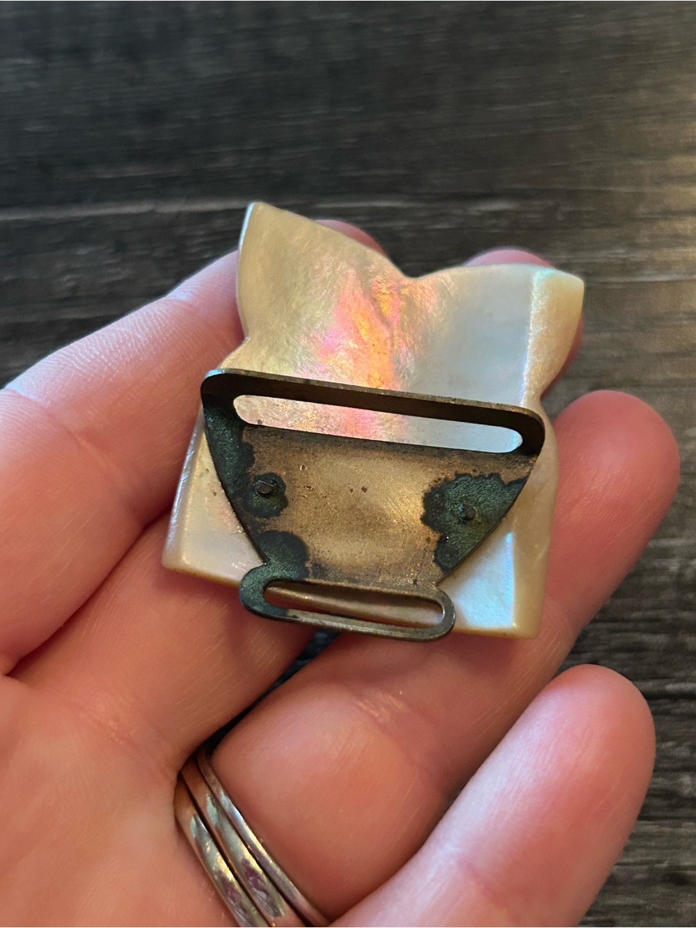 Mother of Pearl Iridescent Buckle and Shell Mix - White and Cream and Gold Tones - Picture 3 of 5